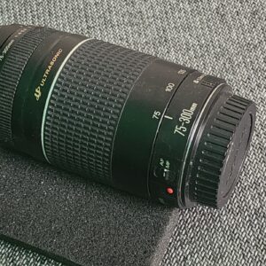 Canon EOS 75-300mm Lens