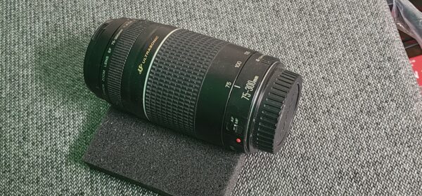 Canon EOS 75-300mm Lens