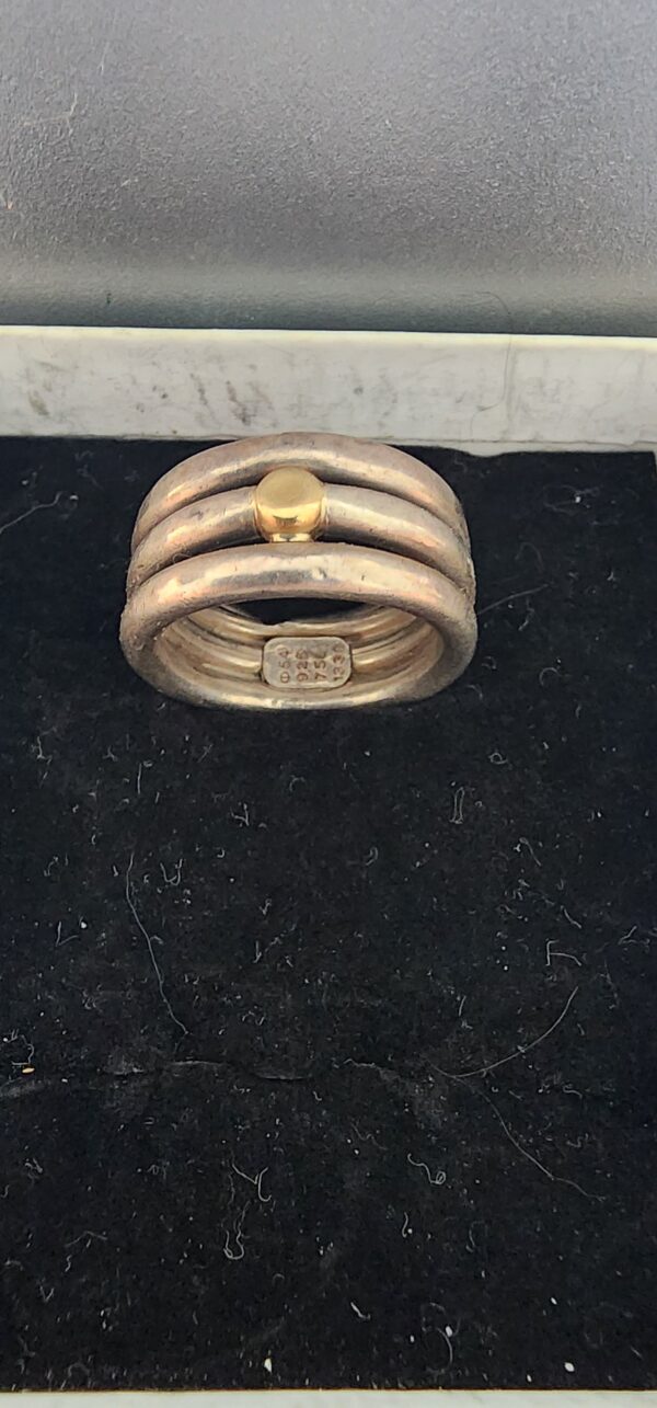 silver and gold ring